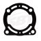 Kawasaki Muffler Gasket 300X 310X 11061-3768