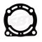 Kawasaki Muffler Gasket 300X 310X 11061-3768