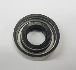 0314167, САЛЬНИК