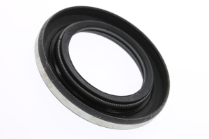 329923, САЛЬНИК