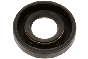 0335250, САЛЬНИК