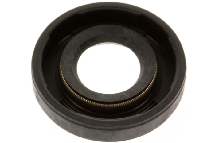 0335250, САЛЬНИК