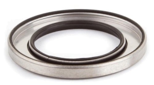 0981268, САЛЬНИК