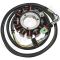 Polaris Stator Genesis Ficht /Genesis FFI /Virage TXI /Genesis I /MSX 140 4010320 1999 2000 2001 2002 2003 2004