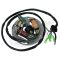 Статор для Yamaha SuperJet 650 /Wave Runner III 650 /Wave Runner LX /VXR 650 /VXR Pro 700 /Wave Blaster 700 /FX 1 6R8-85560-00-00 1990 1991 1992 1993 1994 1995