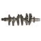 Spark/Trixx/GTI 903 Series/90 Series/Ace 900 Crankshaft 420819809