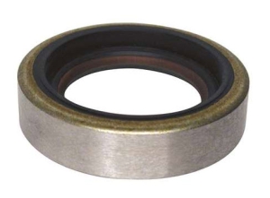 3852548, САЛЬНИК