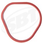 Уплотнитель Впускной Коллектор для Sea-Doo GTX 4 Tec LTD SC /GTX 4 Tec SC /GTX 4 Tec /GTX 4 Tec Wake /RXP SC /Sportster 4 Tec /GTX 4 Tec LTD SCIC /RXP /RXT /Challenger 180 SC /Challenger 180 SCIC /Speedster 200 SC /Speedster 200 /Sportster SCIC /Sportster /GTI Rental /GTI SE /GTI STD /Challeng