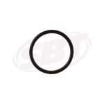 Kawasaki Generator O'Ring for 300X 310X