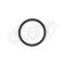 Kawasaki Generator O'Ring for 300X 310X