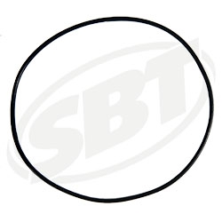 Polaris Cylinder ORing SL 900 5411044 1996 1997