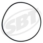 Polaris Cylinder ORing MSX140 2003 2004