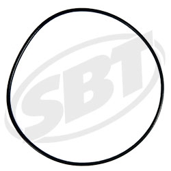 Polaris Cylinder ORing MSX140 2003 2004