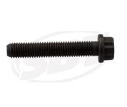 Болт Шатуна, Sea-Doo Spark 420641790