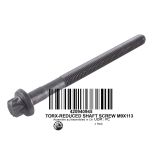 420940945, Болт, Torx (M9 X 113), ГБЦ, SPARK - 900