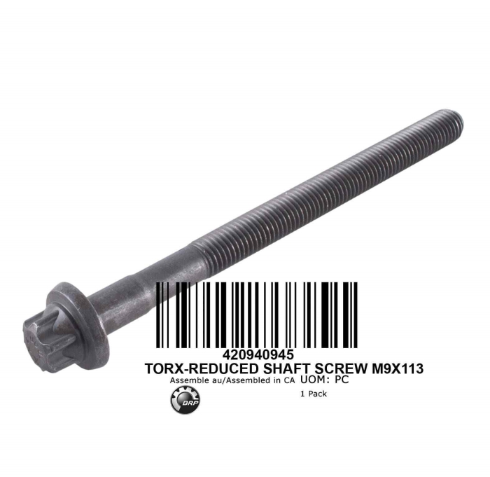 420940945, Болт, Torx (M9 X 113), ГБЦ, SPARK - 900