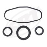 Ремкомплект Rave Клапана, Sea-Doo GTX DI /RX DI /LRV DI /XP DI /Sport LE DI /3D 947 DI 2000 2001 2002 2003 2004 2005 2006