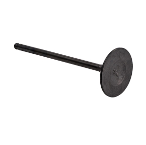 Впускной клапан для Yamaha 1050 Series (TR-1) 8GL-12111-10-00