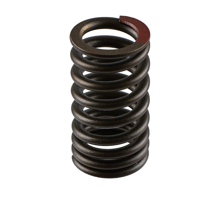 Пружина клапана для Yamaha 1050 (TR-1) 8GL-12113-00-00