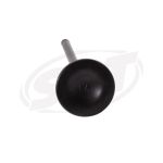 Honda Intake Valve F-12 /F-12X /R-12 /R-12X 14711-HW1-671 2002 2003 2004 2005 2006