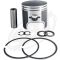 Tigershark Piston & Ring Set 900 Monte Carlo /Tigershark 900 1995 1996