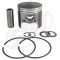 Tigershark Piston & Ring Set 1000 Monte Carlo /Daytona 1997 1998