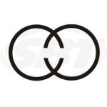 Tigershark Piston Ring Set 900 Monte Carlo 3004-079 1995 1996