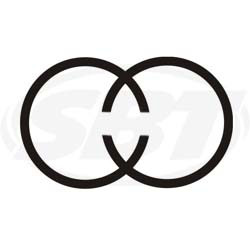 Tigershark Piston Ring Set 900 Monte Carlo 3004-079 1995 1996