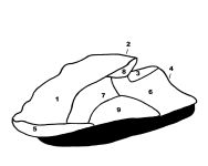 Custom Storage cover for Kawasaki Ultra 250/LX/Ultra 250/Ultra 260X/2007-2010