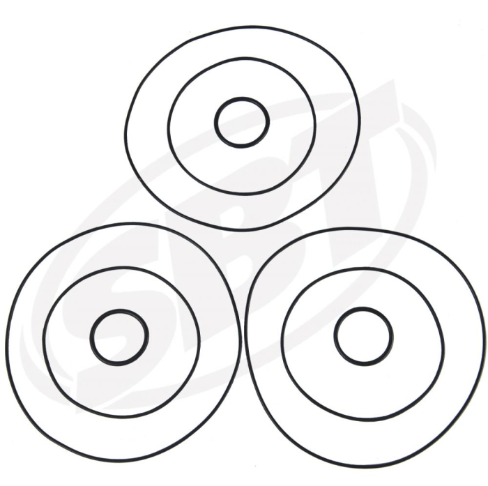 Polaris Head O'Ring Kit 900 SL900 1996 1997