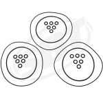 Tigershark Head O'Ring Kit 900 /1000 900 /Monte Carlo 900 /Daytona 1000 /Monte Carlo 1000 /TS 1000 /TS 900 1995 1996 1997 1998 1999