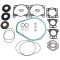 Complete Gasket Kit Compatible with Polaris 5811784 5412232 5830043 Virage I