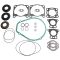 Complete Gasket Kit Compatible with Polaris 5811784 5412232 5830043 Virage I