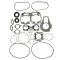 Complete Gasket Kit - Sea-Doo 290886390 Challenger (Select Models)
