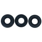 Crankshaft End Seal Kit Fits TigerShark 3003-367 3002-355 3003-359 770