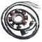 Kawasaki Stator 750 ZXI /XI 21003-3734 1996 1997 1998 1999