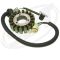 Статор для Yamaha VX110 Sport /VX110 Deluxe 6D3-81410-01-00 2005 2006 2007 2008 2009