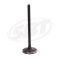 Honda Intake Valve F-12 /F-12X /R-12 /R-12X 14711-HW1-671 2002 2003 2004 2005 2006