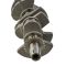 Spark/Trixx/GTI 903 Series/90 Series/Ace 900 Crankshaft 420819809