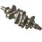 Spark/Trixx/GTI 903 Series/90 Series/Ace 900 Crankshaft 420819809