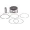 Engine Rebuild Kit fits Yamaha 1.8L SHO