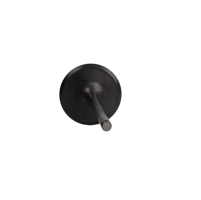 Впускной клапан для Yamaha 1050 Series (TR-1) 8GL-12111-10-00
