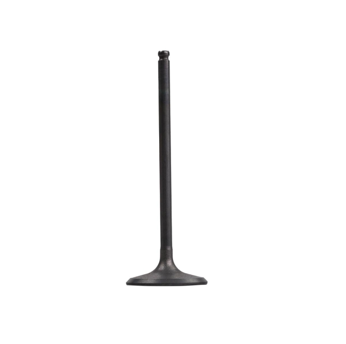 Впускной клапан для Yamaha 1050 Series (TR-1) 8GL-12111-10-00