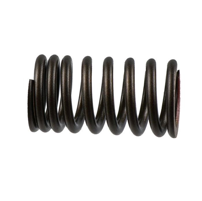 Пружина клапана для Yamaha 1050 (TR-1) 8GL-12113-00-00