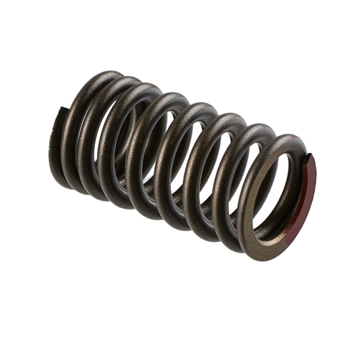 Пружина клапана для Yamaha 1050 (TR-1) 8GL-12113-00-00