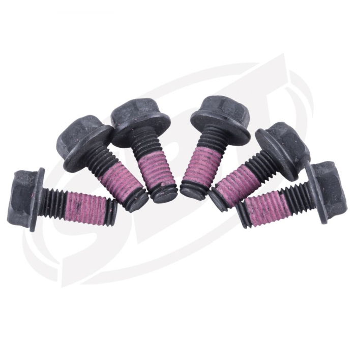 Sea-Doo Комплект Болтов Магнето GTX 4Tec Wake RXP RXT GTI 2003 2005 2008 2013 2014 2015