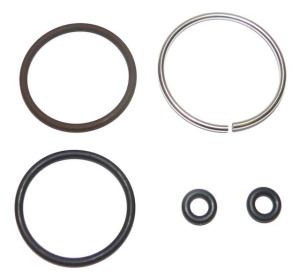 5007017, САЛЬНИКИ, КОМПЛЕКТ(инжектор)